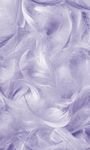 pic for Lavender Feathers